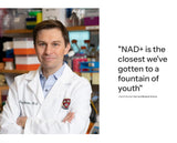 Ethlete NAD+ Longevity, scène de travail et concentration accrues