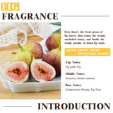 EUQEE huile parfum figue – diffuseur prêt à diffuser l aroma figue