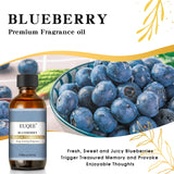 EUQEE huile parfumée myrtille avec pipette pour dosage précis
