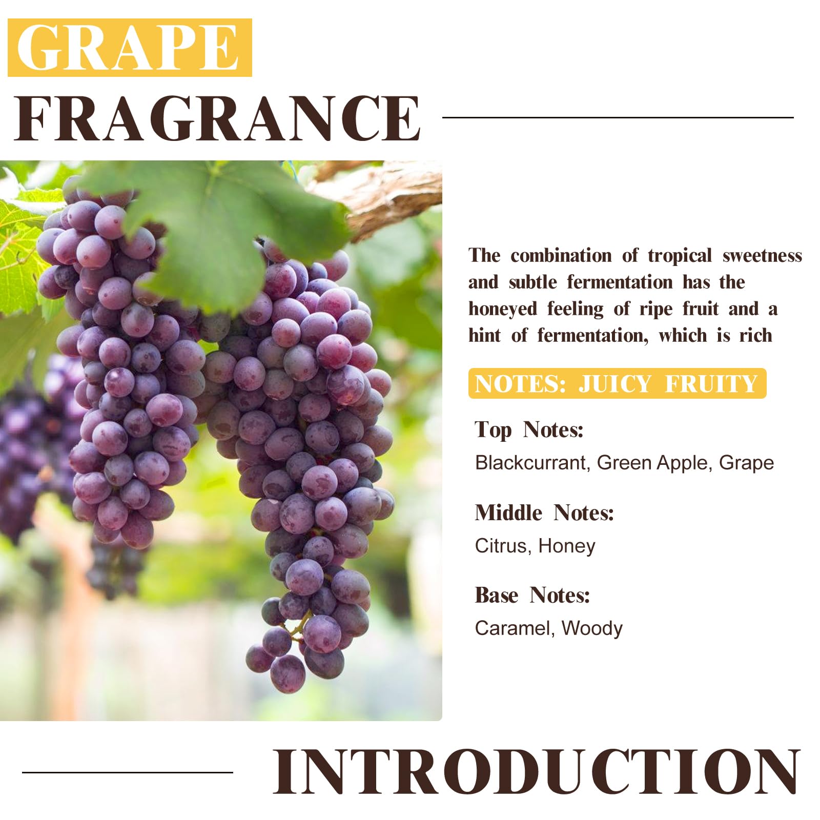 EUQEE huile parfum raisin idéale pour bougies DIY et parfumer vos créations.