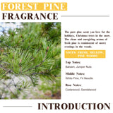 EUQEE Pin Forêt utilisé dans diffuseur pour ambiance fraîche.