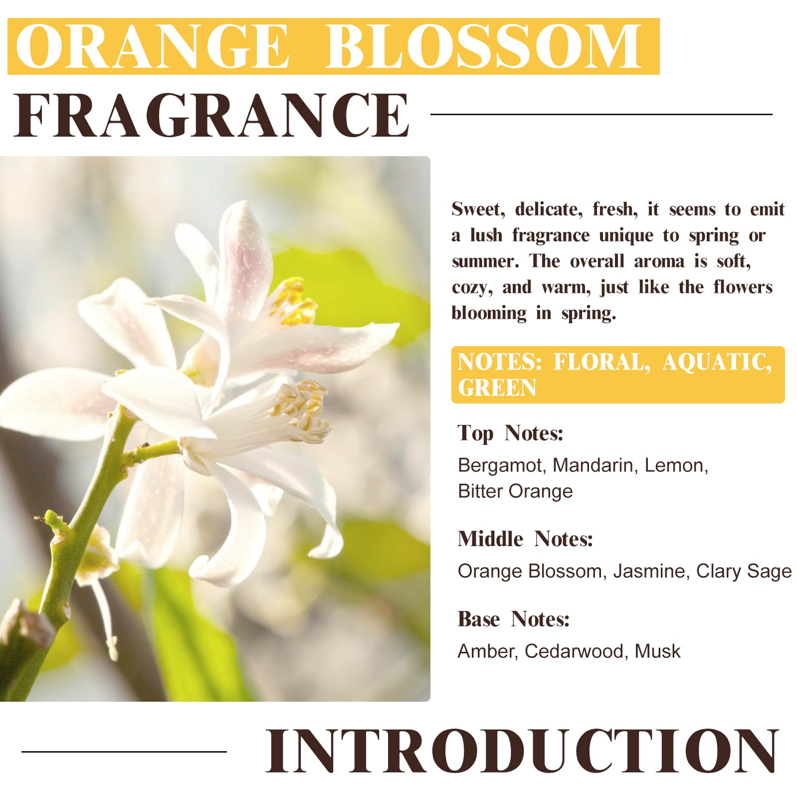 EUQEE huile orange adaptée au diffuseur pour une ambiance aromatique.