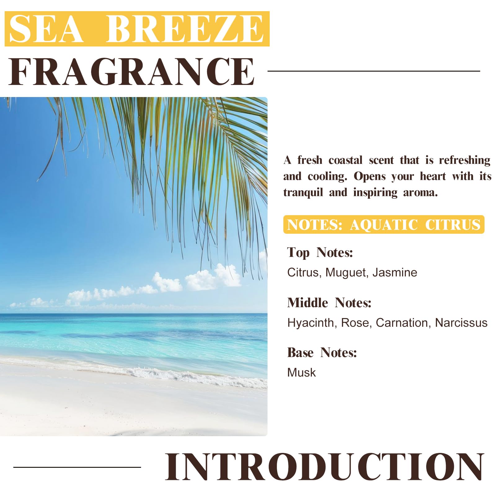 EUQEE Sea Breeze – flacon ambré favorise la stabilité du parfum.