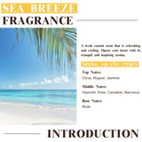 EUQEE Sea Breeze – flacon ambré favorise la stabilité du parfum.