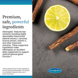 EuroMedica Adrenaplex – Vitamine C et B5 soutiennent l'énergie cellulaire