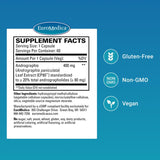 Capsules véganes d'EuroMedica Andrographis EP80 pour énergie et mobilité.