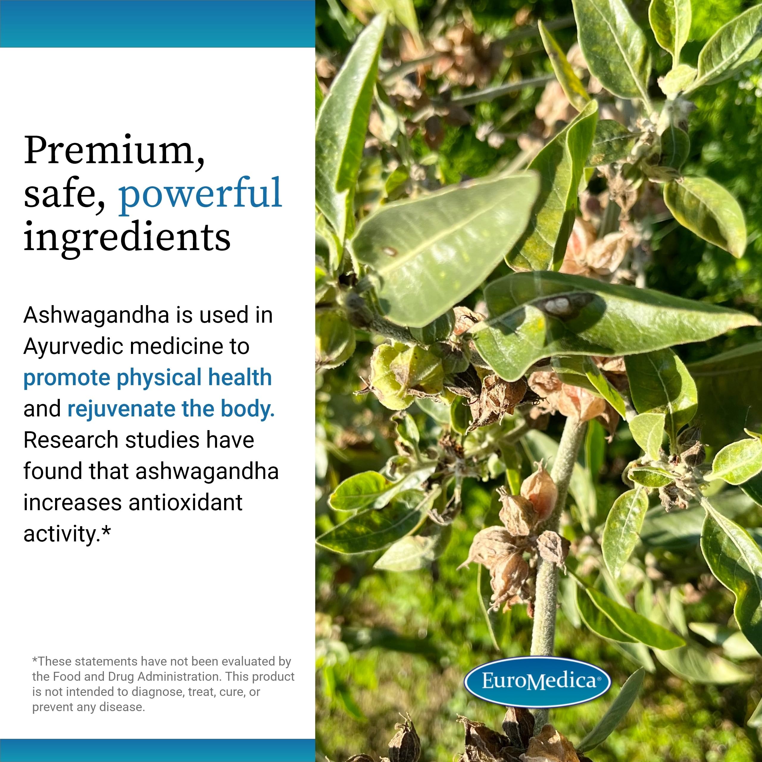 EuroMedica Ashwagandha Complex – ingrédients sans allergènes et liste lisible