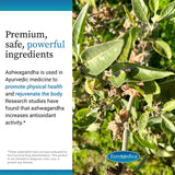 EuroMedica Ashwagandha Complex – ingrédients sans allergènes et liste lisible