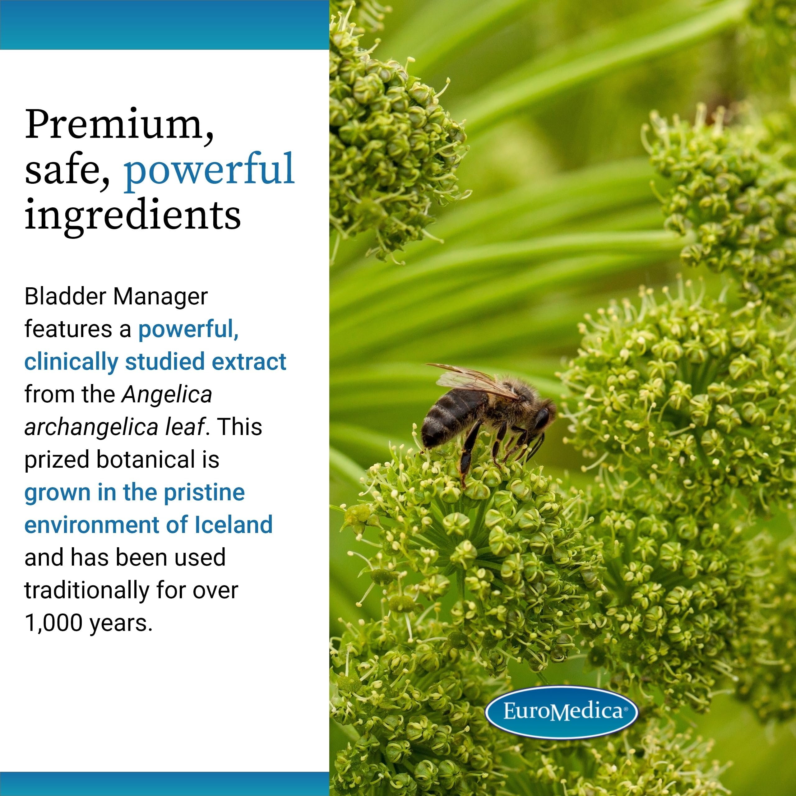 EuroMedica Bladder Manager: utilisation quotidienne simple avec une capsule par jour.