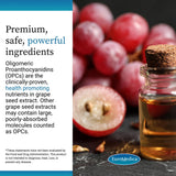 EuroMedica OPC Clinique – prise quotidienne d'une gélule pour soutenir le bien-être.