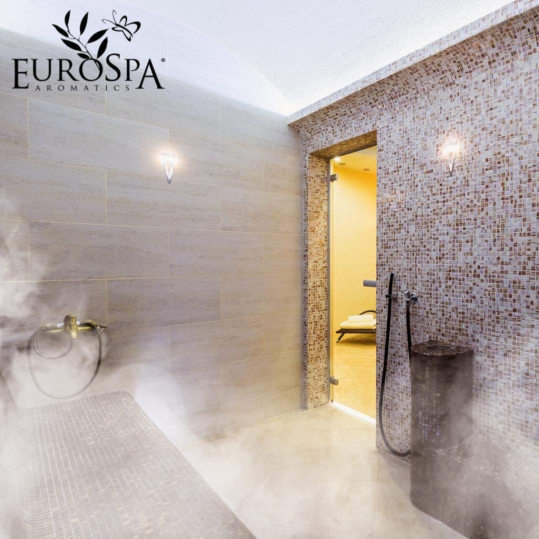 EuroSpa Aromatics aromathE9rapie eucalyptus nature pour inhalation simple