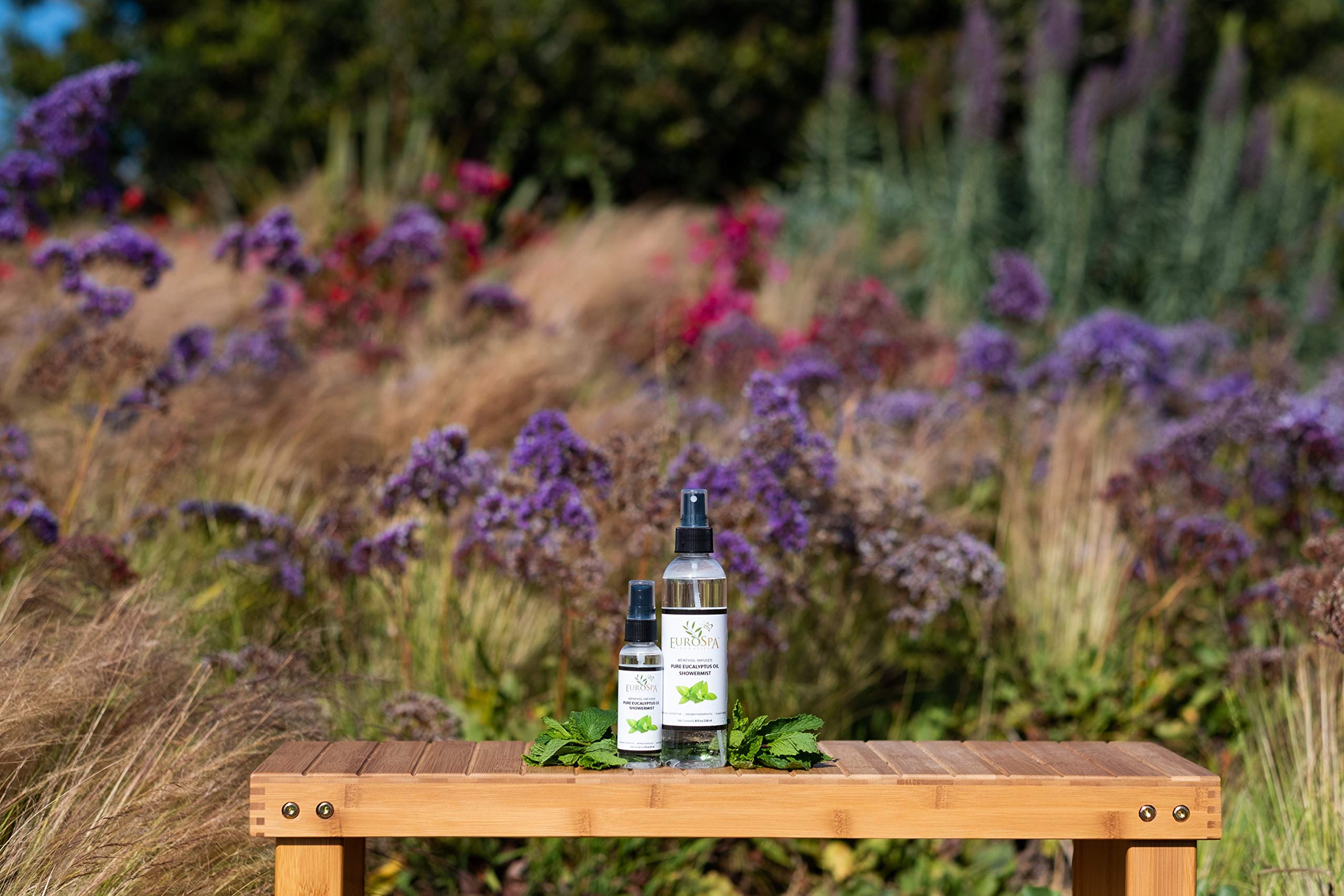 Pulvérisation de brume douche EuroSpa Aromatics pour aromathérapie