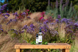 Pulvérisation de brume douche EuroSpa Aromatics pour aromathérapie