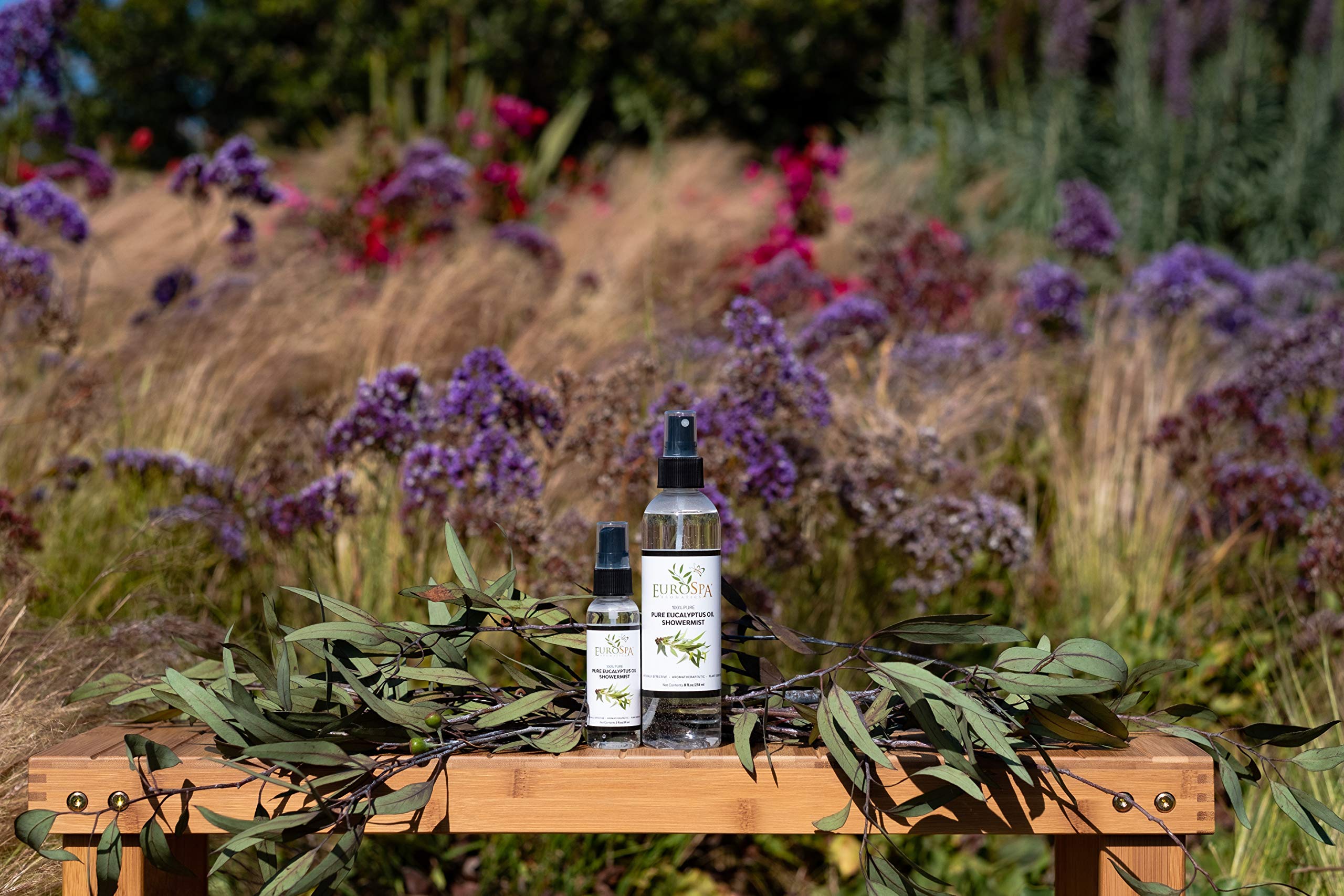 EuroSpa Aromatics Coffret cadeau huile eucalyptus pour une expérience spa maison.