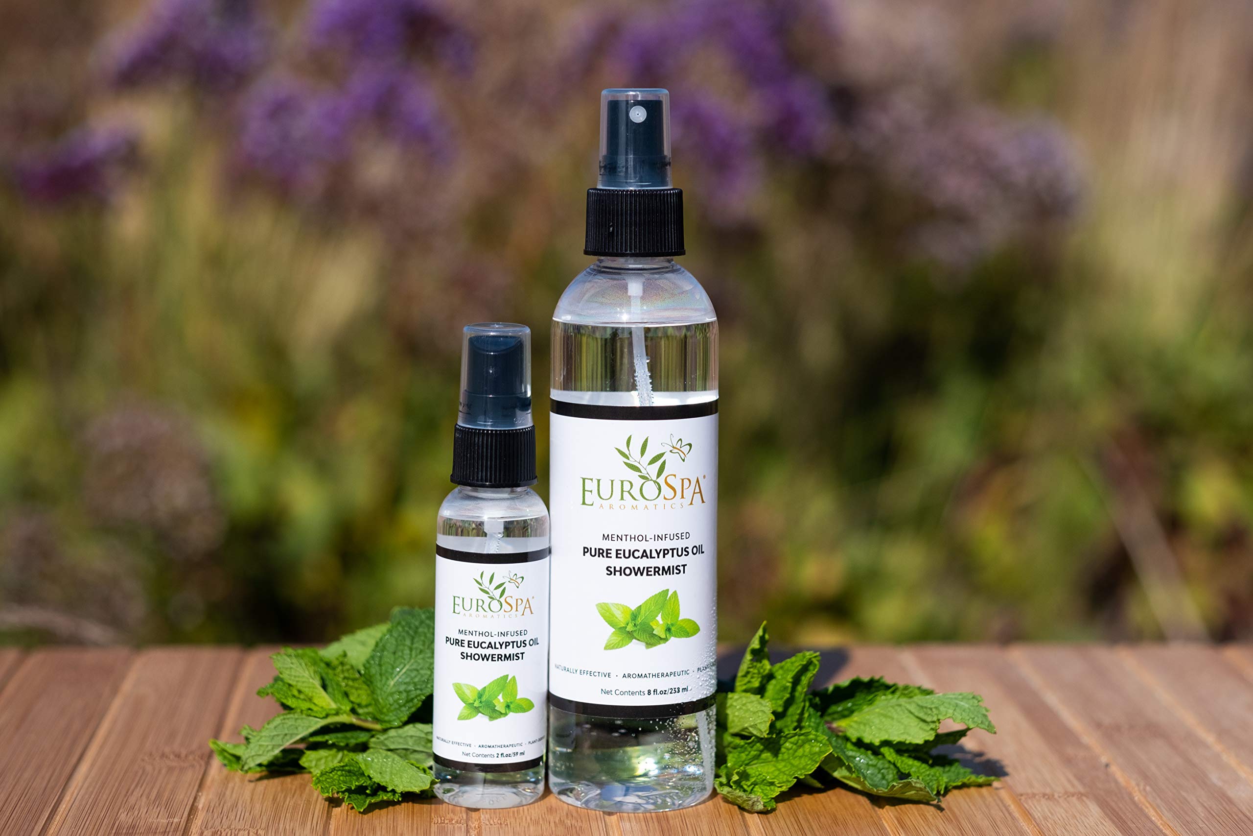 Diffuseur hammam EuroSpa Aromatics eucalyptus pour ambiance spa