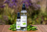 Diffuseur hammam EuroSpa Aromatics eucalyptus pour ambiance spa