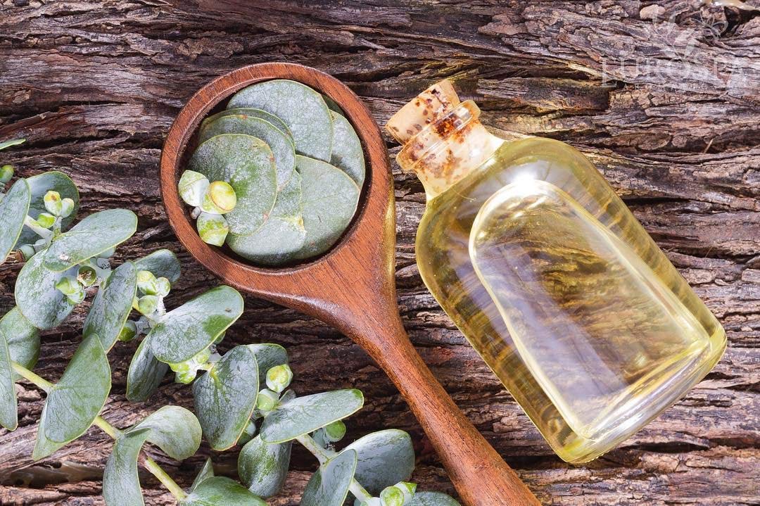 EuroSpa Aromatics Format voyage douche emportez l'aromathérapie en déplacement.
