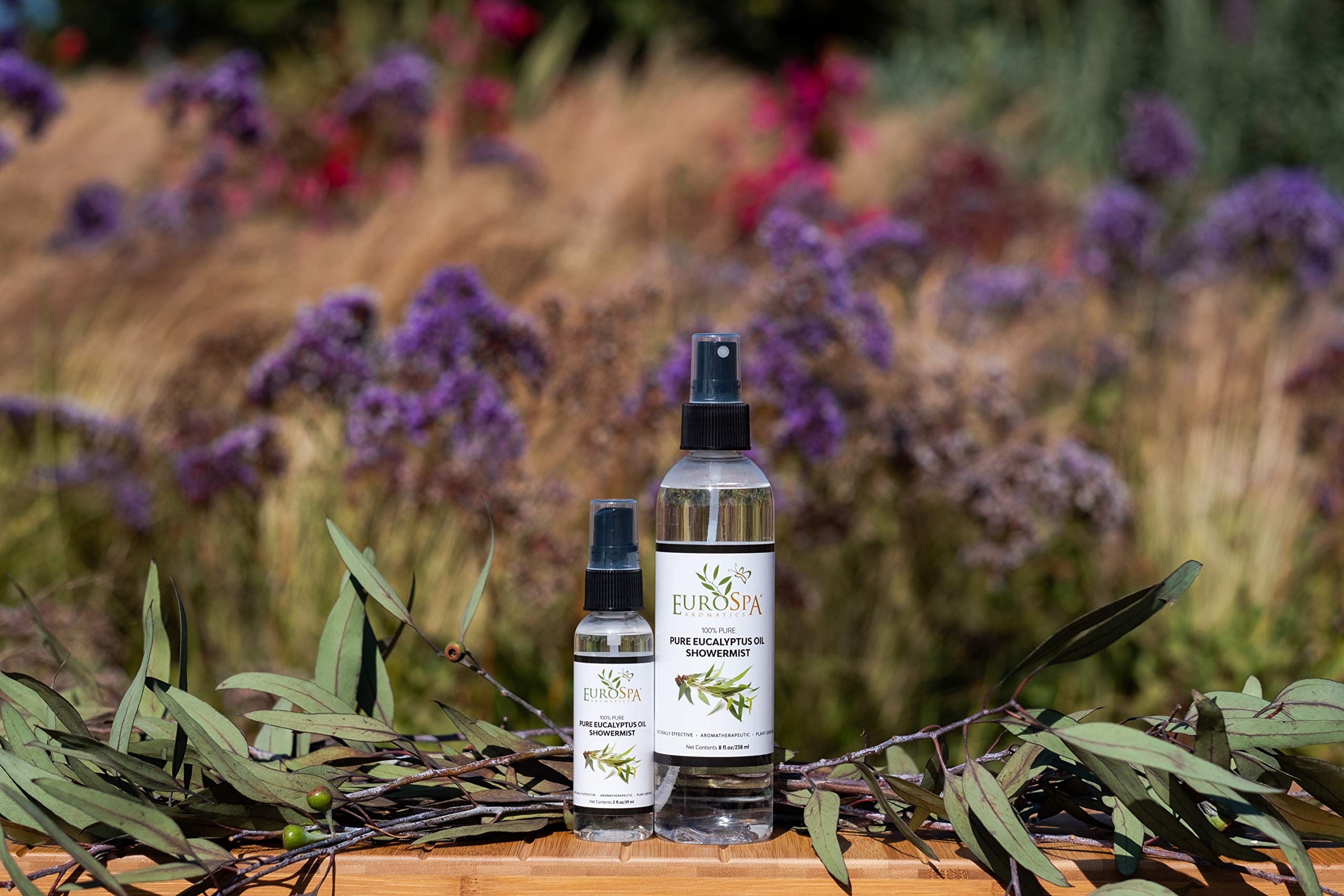 EuroSpa Aromatics Goutte huile eucalyptus pure pour un rituel quotidien revitalisant.