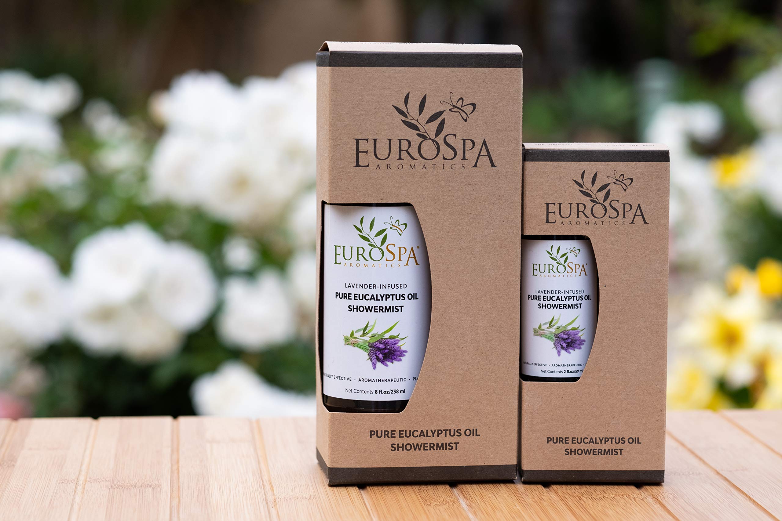 EuroSpa Aromatics diffusion eucalyptus dans la douche pour spa maison