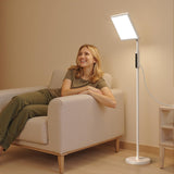 EVATEALE assemblage sans outils, installation rapide et rangement propre.