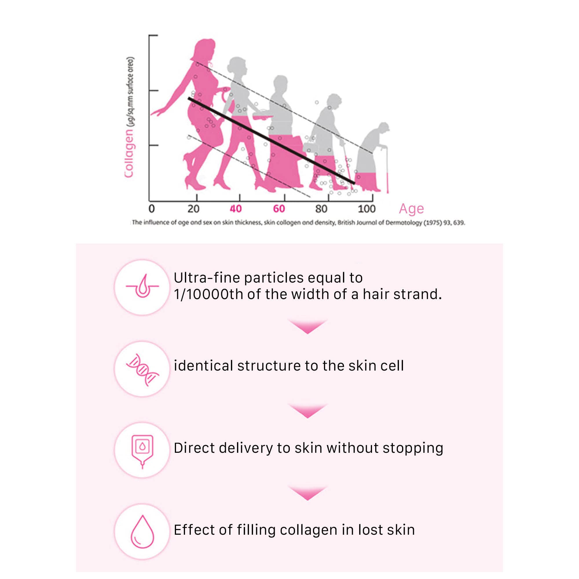 Ever Collagen Time NewTree ingrédients d'origine marine pour une hydratation naturelle et élasticité.