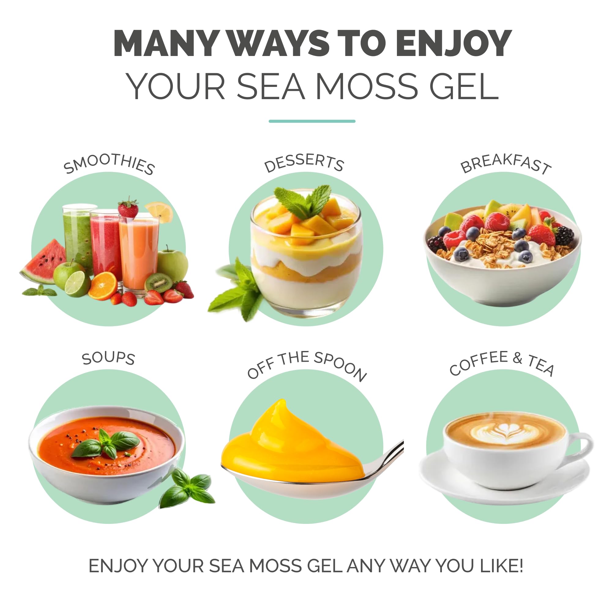 EverSmith Organics gel d’algues irlandaises sauvages, conservation sans réfrigération jusqu’ouverture