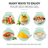EverSmith Organics gel d’algues irlandaises sauvages, conservation sans réfrigération jusqu’ouverture