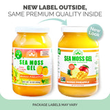 EverSmith Organics gel d’algues irlandaises sauvages, consistance veloutée idéale pour desserts