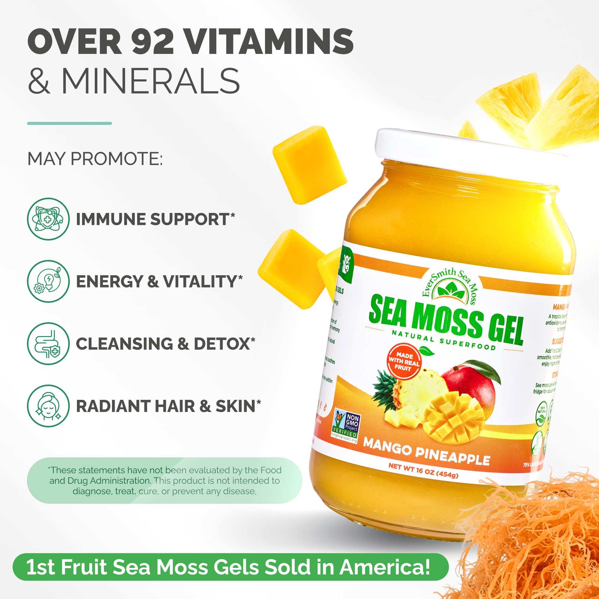 EverSmith Organics gel d’algues irlandaises sauvages, riche en minéraux et vitamines