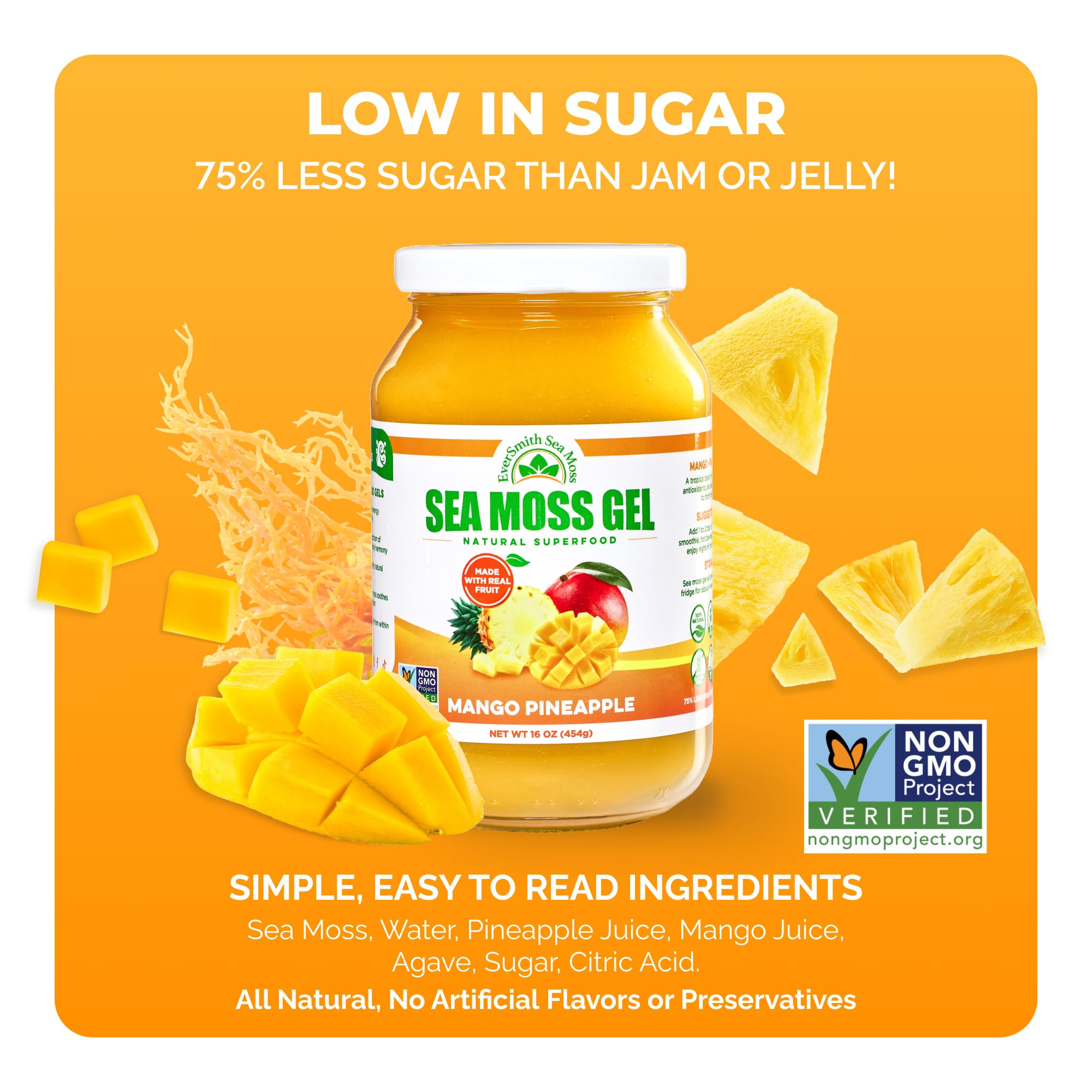 EverSmith Organics gel d’algues irlandaises sauvages, soutien digestion et immunité