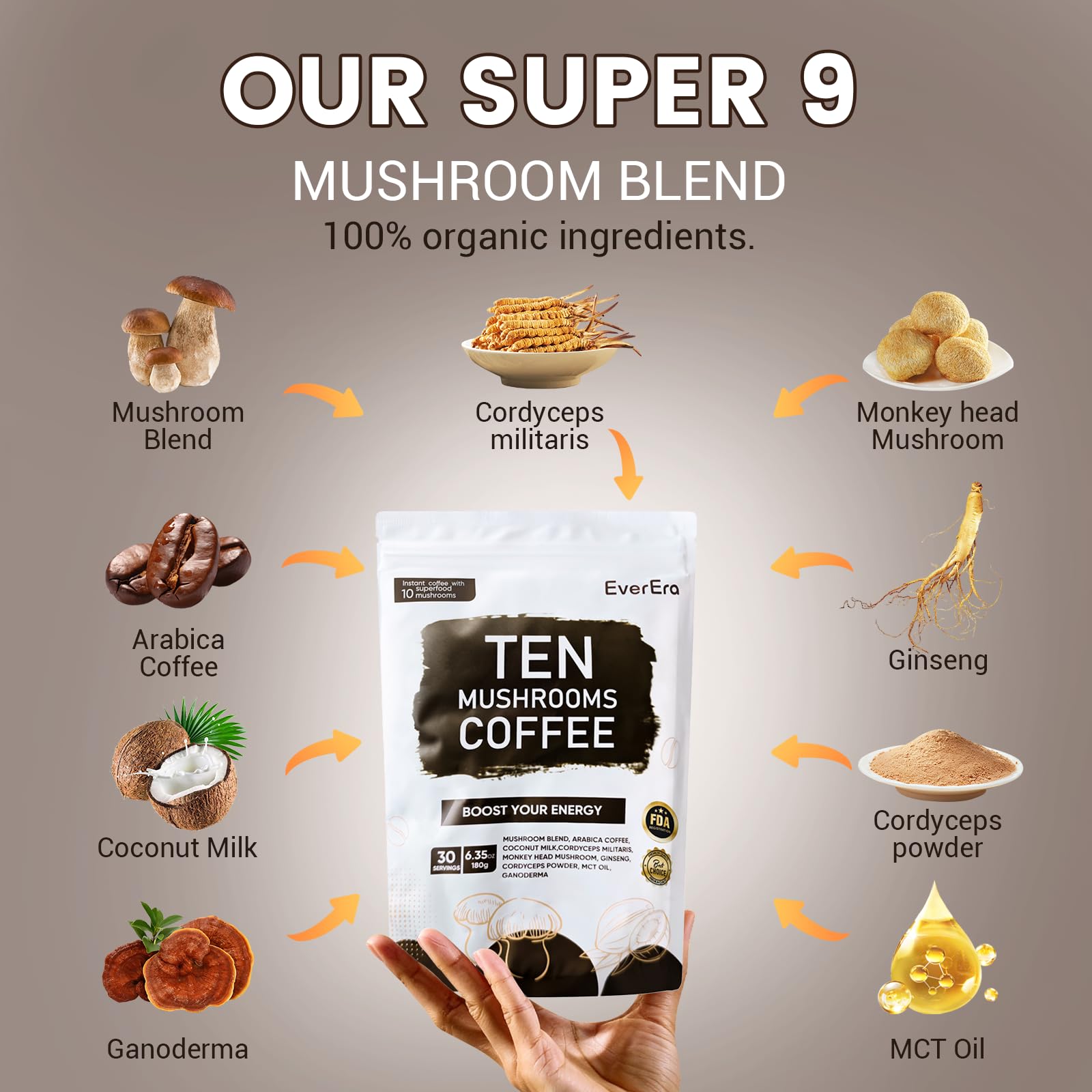 EverEra Lions Mane et Cordyceps – énergie soutenue et concentration