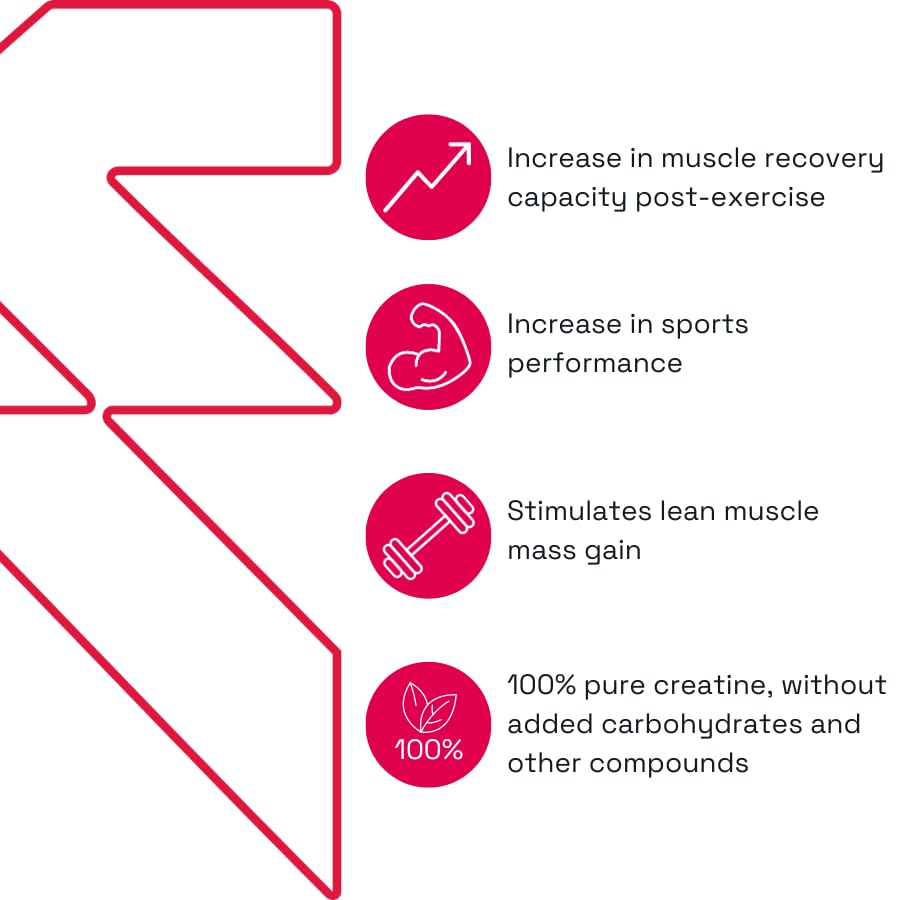 Soutien potentiel à la récupération après l’effort avec EVERNA Creatine Monohydrate.
