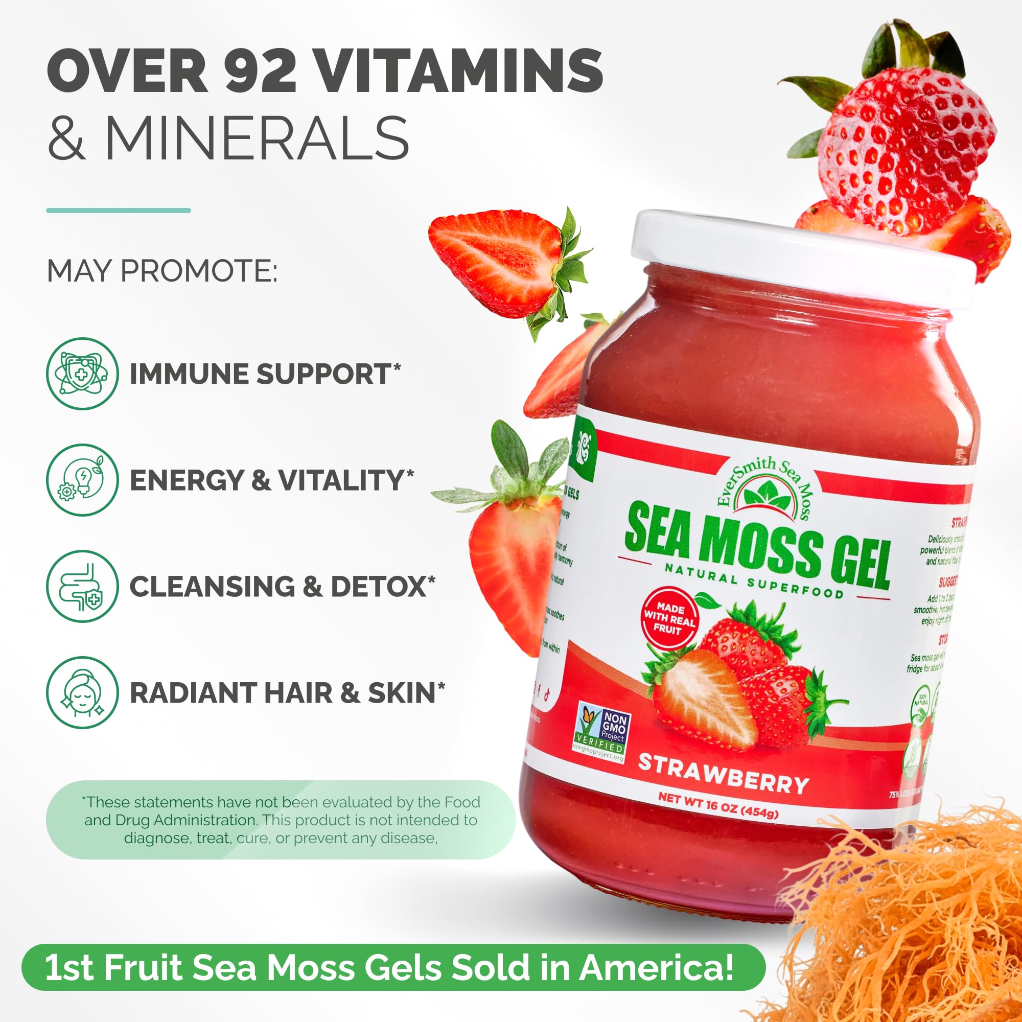 Ingrédients riches en vitamines et minéraux du Gel Mousse Mer EverSmith Organics