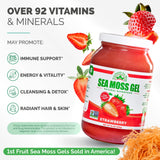 Ingrédients riches en vitamines et minéraux du Gel Mousse Mer EverSmith Organics