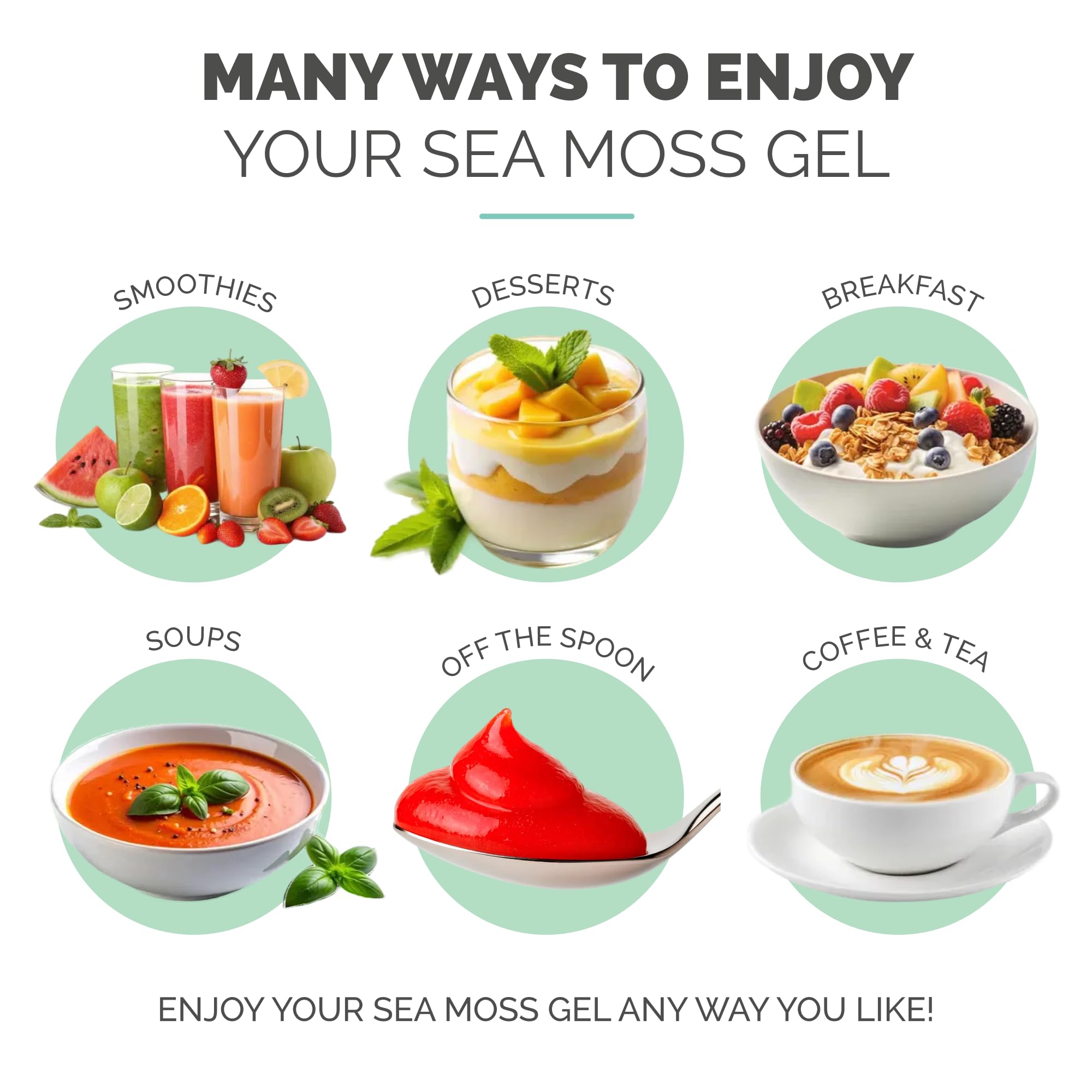 Utilisation du Gel Mousse Mer pour soupes et sauces sans compromis EverSmith Organics