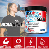 EVL BCAAs Ingrédients de qualité laboratoire, formule performante en poudre