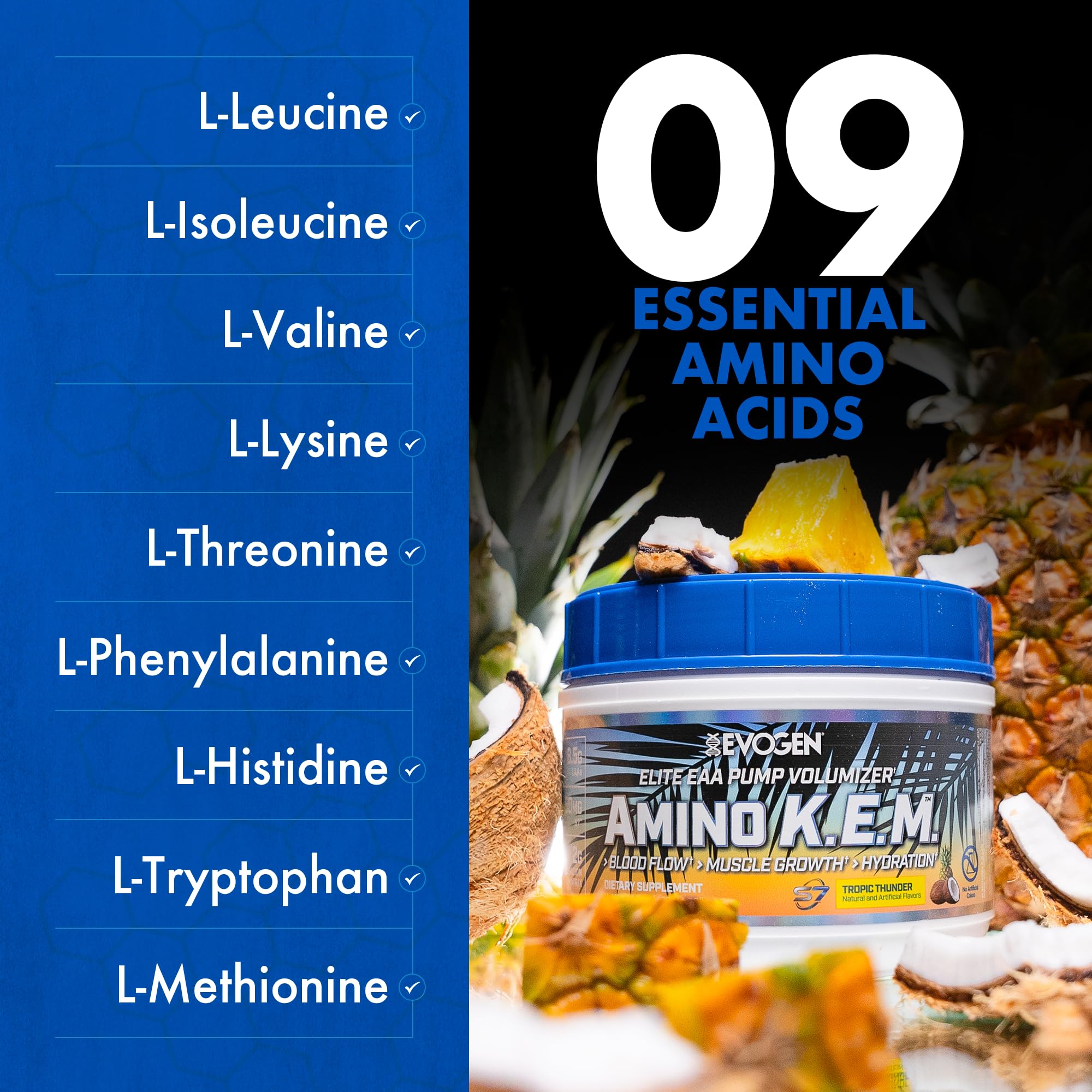 Evogen Amino K.E.M. — arôme Tropic Thunder pour une dégustation agréable.