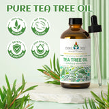 EVOKE OCCU huile arbre à thé pur – Aromathérapie et ambiance fraîche