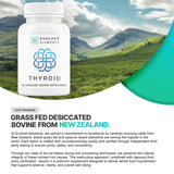 Emballage compact Thyroid: design discret et pratique pour le voyage.