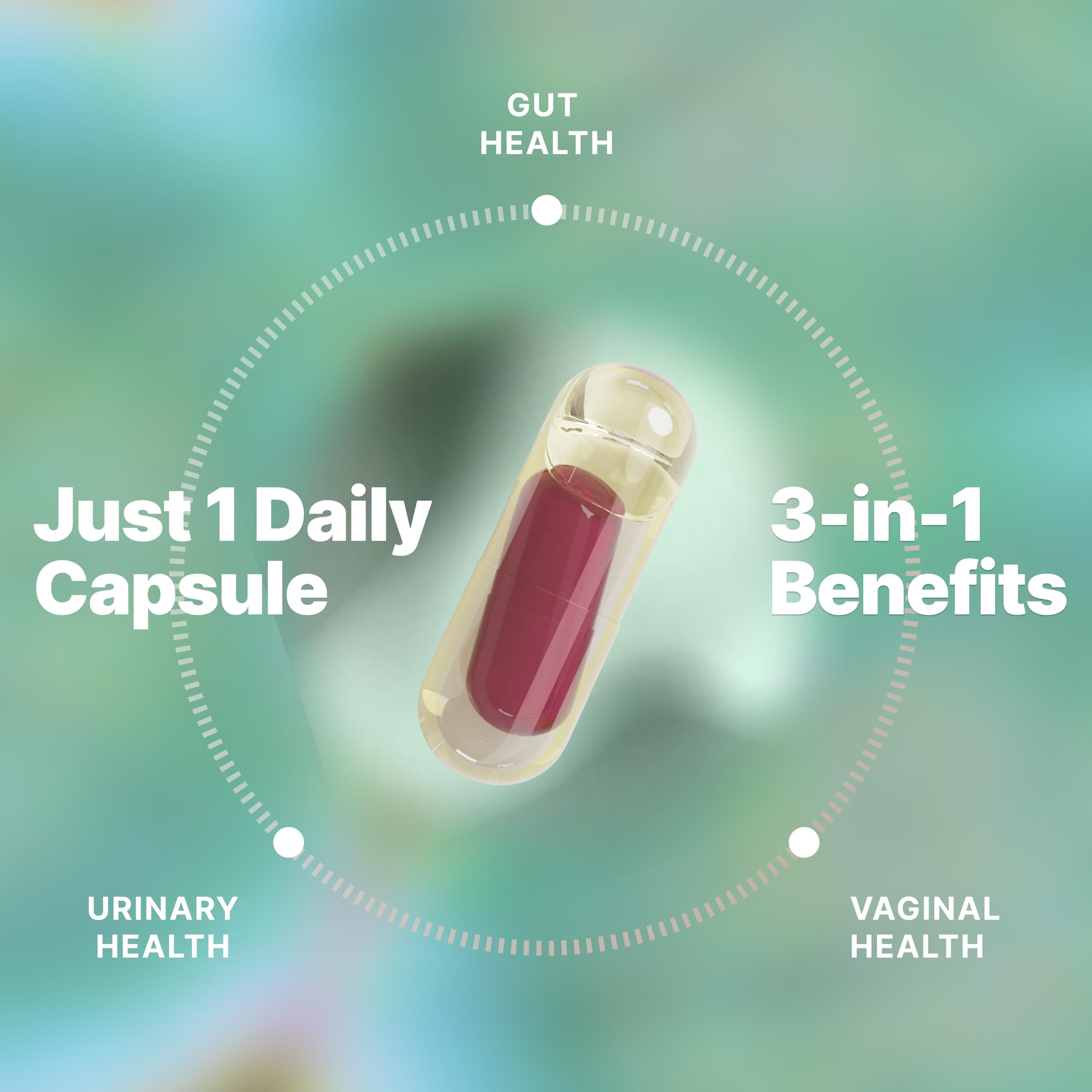 Lactobacilles ciblés et Tributyrin – ingrédients Evvy pour l’équilibre vaginal.