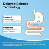 Eysooge Probiotiques: emballage stable, pratique pour voyage.