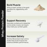 Factor Form whey vanille verre-mélangé, texture lisse sans grumeaux.