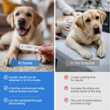 Collecte d'échantillon rapide et sans stress avec Fancy Pets.