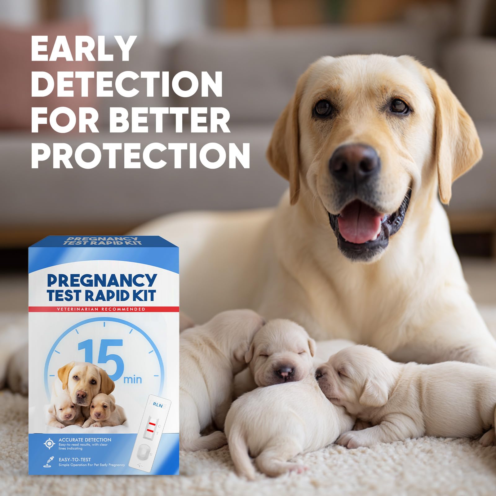 Résultats clairs en 15 minutes pour chien avec Fancy Pets.