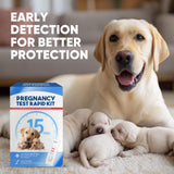 Résultats clairs en 15 minutes pour chien avec Fancy Pets.