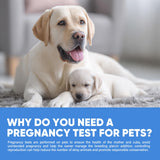 Utilisation à domicile sans stress pour la future maman canine.