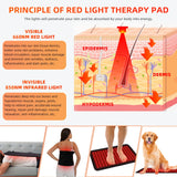 Feangli épaule: thérapie lumineuse rouge pour apaiser les épaules et les tensions.
