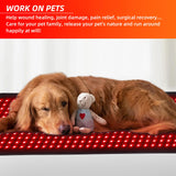 Feangli tapis thérapie commandes et minuterie pour utilisation pratique