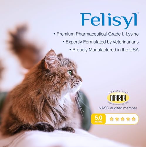 Felisyl L-Lysine Gel, chat respire mieux grâce au soutien.