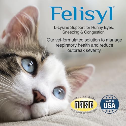 Felisyl L-Lysine Gel, chat dégustant saveur saumon et dose quotidienne.